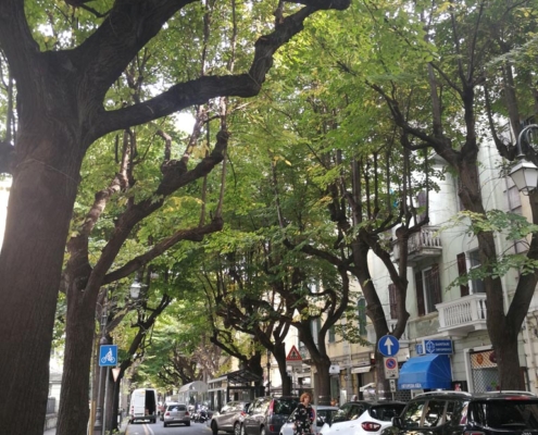 Viale Martiri della Libertà