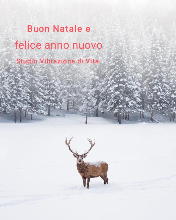 natale 2025